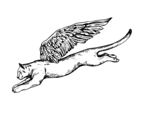 Vintage realistic hand drawn pantera with wings character. © Tatiana