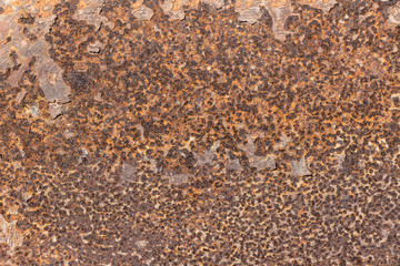 brown metal texture background, metal corroded texture, old metal iron rust backdrop and texture