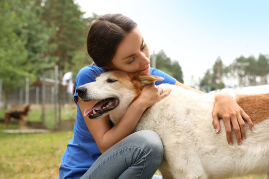 Female Volunteer With Homeless Dog At Animal Shelter Outdoors