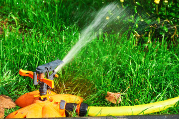 Sprinkler head of automatic watering the bush, grass and lawn. Spraying water over green grass. Irrigation system