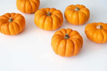 Mini pumpkins lay on white background.