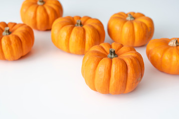 Mini pumpkins lay on white background.