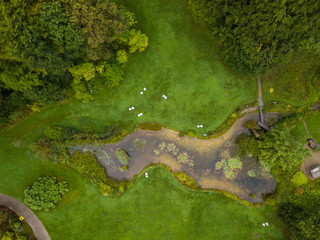 Aerial view of pond in park with green trees.