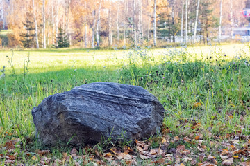 Big gray stone on yellow grass close up