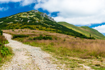Rodge path on the Low Fatra mountains, Slovakia