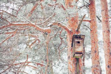 birdhouse from wood in the winter snow covered forest on natural background on pine tree