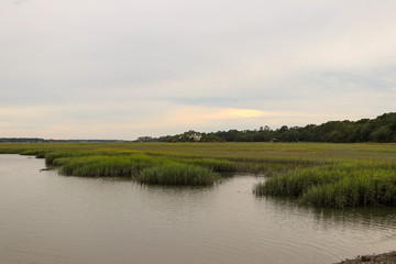 Fototapeta na wymiar marsh
