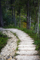 Steep steps into the forest by Lake Gosau. Forest path. Gosauzen Region, Austria.