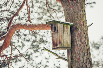 birdhouse from wood in the winter snow covered forest on natural background on pine tree