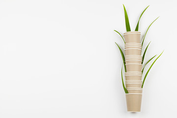 eco friendly disposable, compostable, recyclable paper cups with plant branches on white background.
