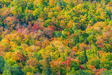 Fall color from the top of Brockway Mountain