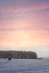 Obraz na płótnie Canvas Winter on the lake