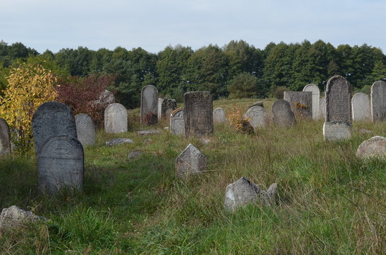 Cmentzarz Żydowski w Żarkach, Kirkut na Kierkowie, Polska