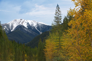 Canadian Rockies_5322