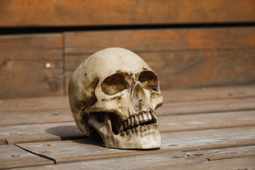 A human skull on a wooden background is illuminated by soft light. Halloween postcard layout