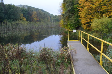 Pomost hydritechniczny, Staw Amerykan, Złoty Potok © Ewa