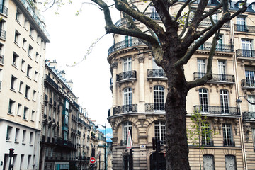 houses on french streets of Paris. citylife concept, black balcony lace