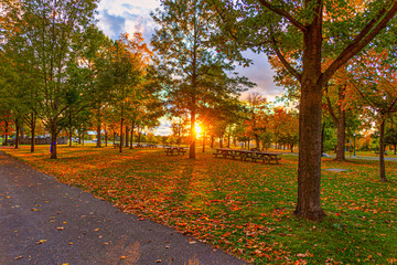 Naklejka premium Evening At The Park