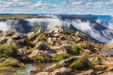 Landscape of a foggy day