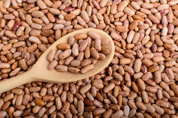 One wooden spoon in many fresh organic red beans in warm light, top view