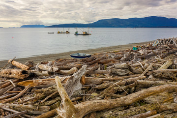Fototapeta na wymiar Reefnet Salmon Fishing Boats Off the Coast of Lummi Island, Washington. Located in the Puget Sound area of Washington state, reefnet salmon fishing is the most sustainable fishing method in use today.