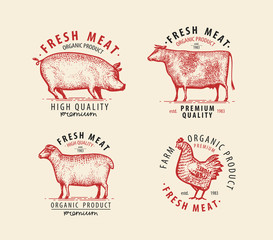 Meat set of labels. Butcher shop symbol. Vintage vector illustration