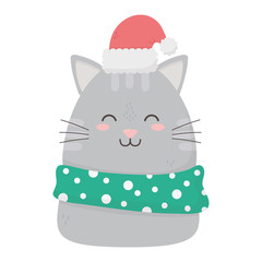 cute cat with hat and scarf celebration happy christmas