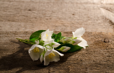 Fototapeta na wymiar Fresh fragrant white flower of jasmine on old wooden table.