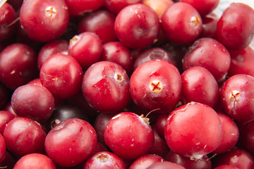 Cranberries close-up / The set of vitamins in cranberries / Fresh cranberries