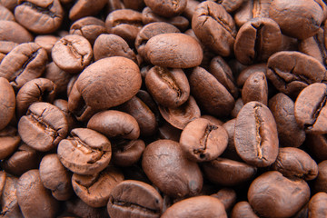 Coffee beans / fresh coffee beans brown seed texture background wallpaper