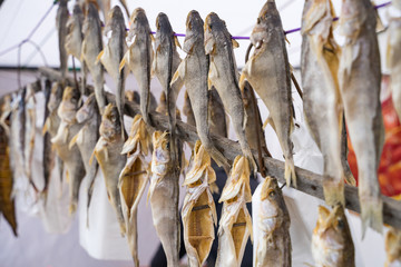 Dried fish on a rope sold at the fair.