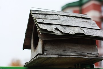 Wooden birdhouse for birds in the garden