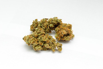 Cultivated and dried marijuana buds ready for consumption