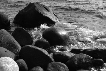 landscapes and close-ups in black and white