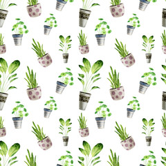 Trendy watercolor seamless pattern with houseplants in pots. Can be used for scrapbooking, posters, wallpaper, textile, fabric. Home greenery design, interior sketching