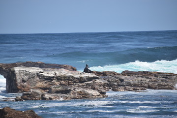 Fototapeta premium sea and rocks