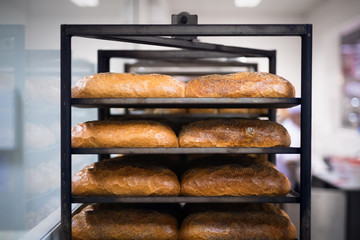 Fresh baked loaves of bread cooling on a rack in a bakery