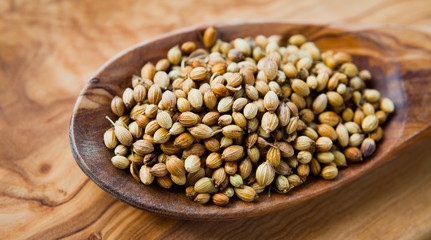 Indian Spices -  Coriander Seeds macro on wooden spoon.