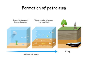 Formation of petroleum. Oil and gas formation. © designua