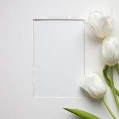Creative Layout Made Of Blossoming White Tulip Flowers And A Paper Card On White Background. Minimalistic Nature Framed Mockup Concept With Copy Space.