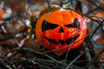Halloween Pumpkin in the Forest. Scary pumpkin decorations with creepy toothy smile at wood...