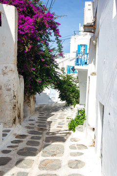 Fototapeta Narrow streets and blue windows with white buildings in Mykonos Greece