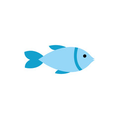 Isolated fish animal flat vector design