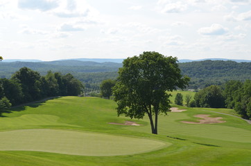 Fototapeta premium landscape with trees and blue sky