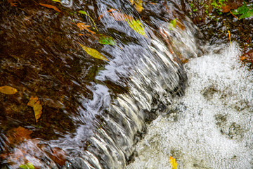 Autumn leaves being carried over a small waterfall