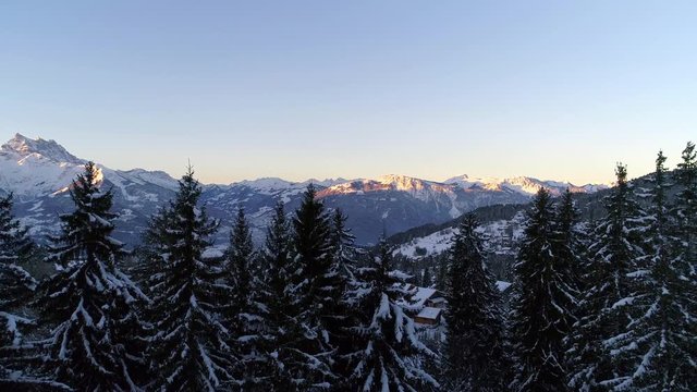 Aerial reveal of the Swiss alps in the winter from behind snowy trees