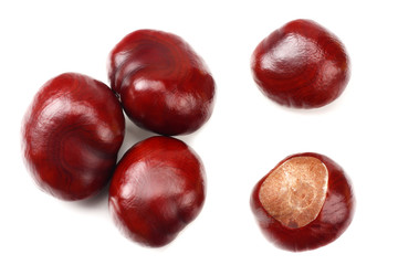 chestnuts isolated on white background. top view