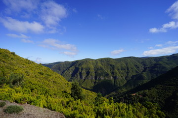 Fototapeta na wymiar Sunshine and green at Madeiras top