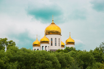 golden domes of a church with crosses on a background of blue clear skies. Domes of the church behind green trees on a clear day
