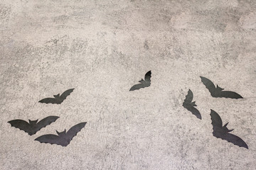 Halloween decoration concept - black bats on gray stone concrete background